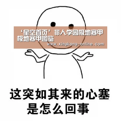 星空赛程